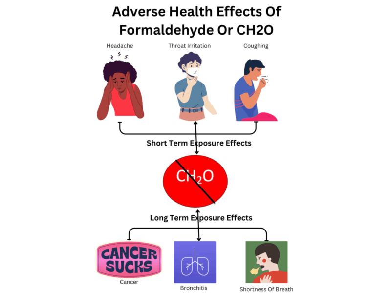 Nội thất an toàn sức khỏe