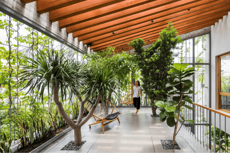 Xu hướng thiết kế Biophilic Living năm 2026