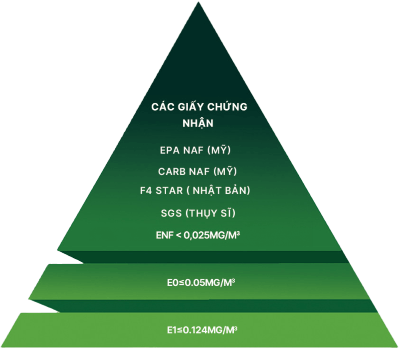 Giấy chứng nhận tiêu chuẩn ENF