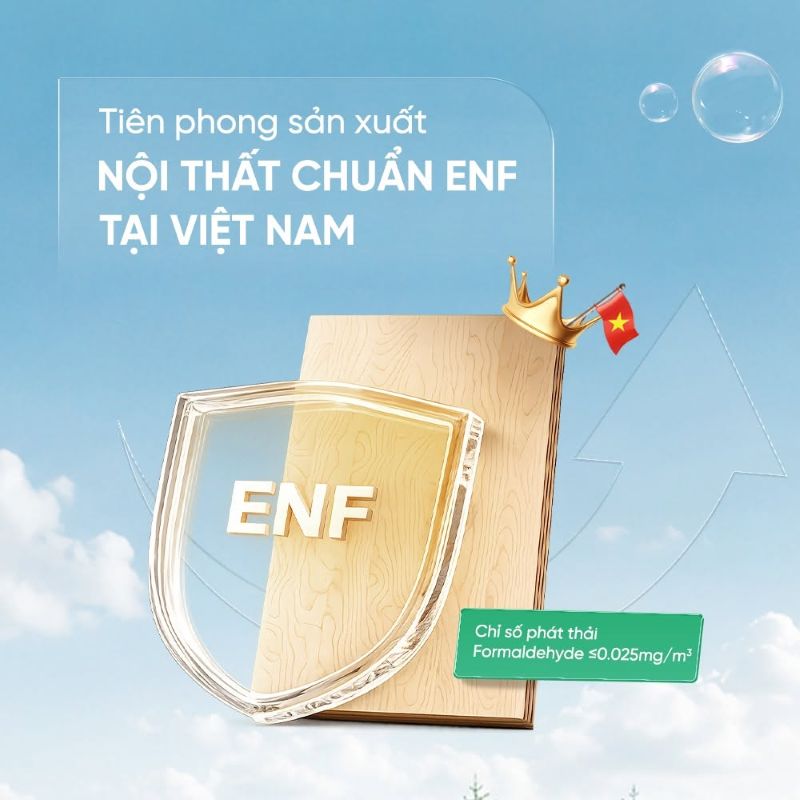 Tiên phong sử dụng ván đạt chuẩn ENF tại Việt Nam